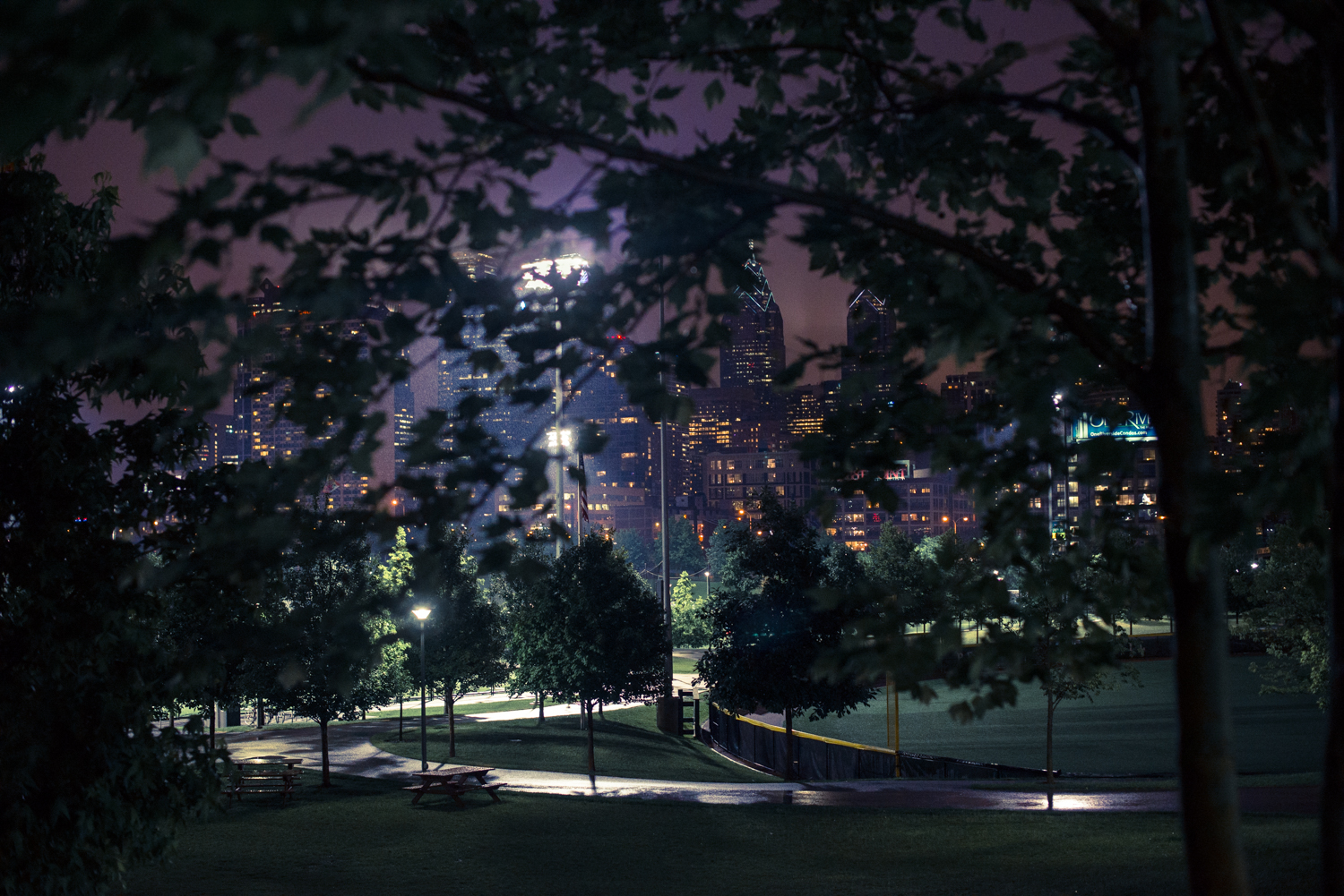 Penn Park overlooking the Philadelphia Skyline.